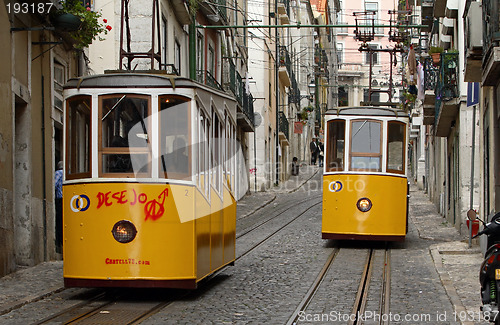 Image of Trams