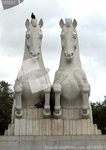 Image of Horses