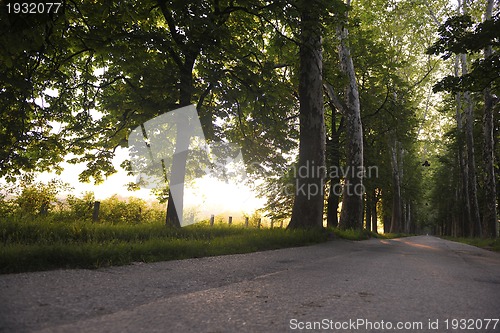 Image of sunrise in beautiful alley