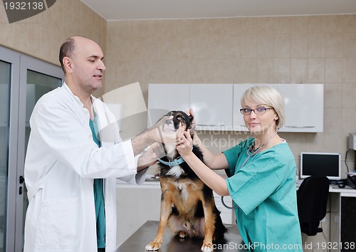 Image of veterinarian and assistant in a small animal clinic