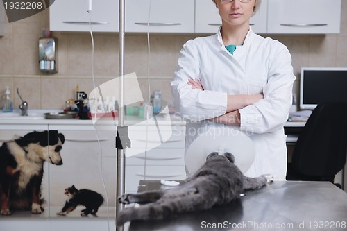 Image of Female veterinary