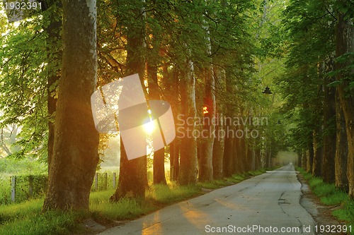 Image of sunrise in beautiful alley