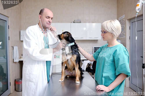 Image of veterinarian and assistant in a small animal clinic