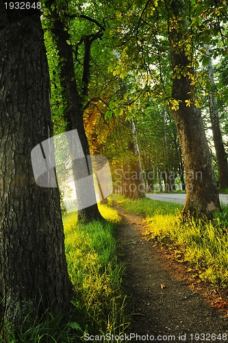 Image of sunrise in beautiful alley