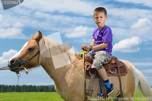 Image of child ride pony