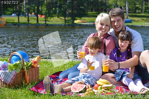 Image of Happy family playing together in a picnic outdoors