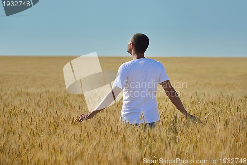 Image of man in wheat field