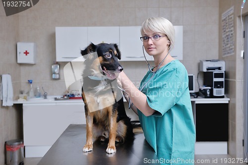 Image of veterinarian and assistant in a small animal clinic