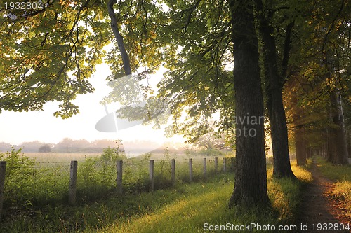 Image of sunrise in beautiful alley