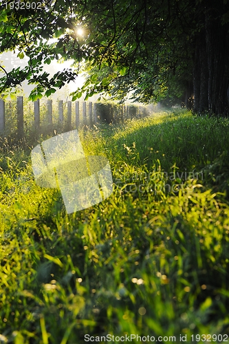 Image of sunrise in beautiful alley