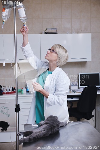 Image of Female veterinary