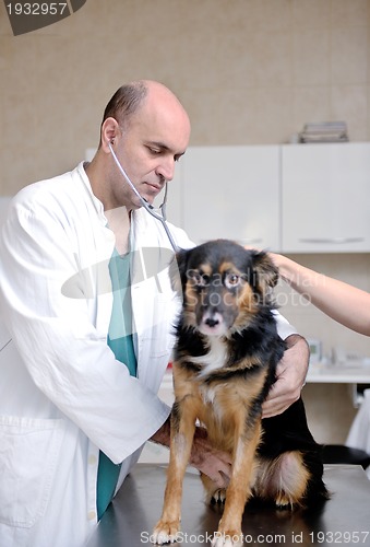 Image of veterinarian and assistant in a small animal clinic