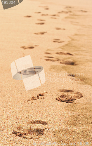 Image of Footprints