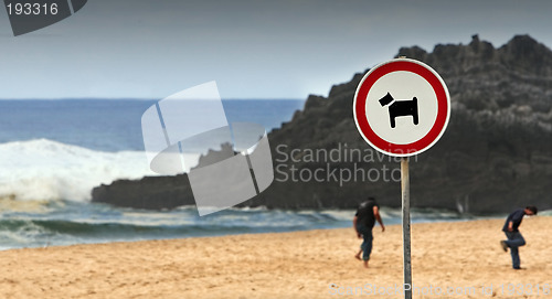 Image of Dangerous beach