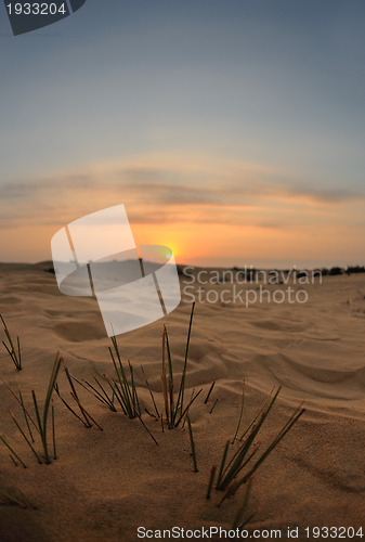 Image of beautiful sunset in desert