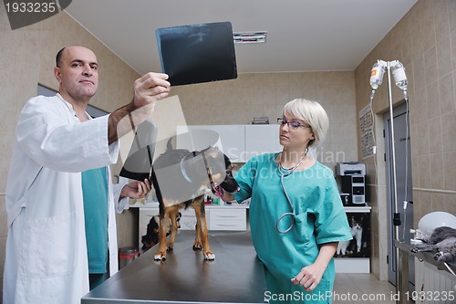 Image of veterinarian and assistant in a small animal clinic