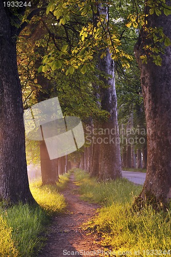 Image of sunrise in beautiful alley