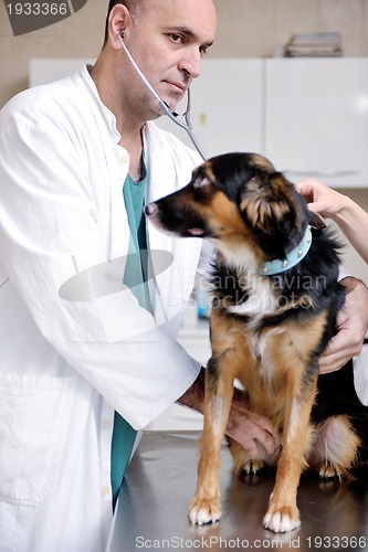 Image of veterinarian and assistant in a small animal clinic