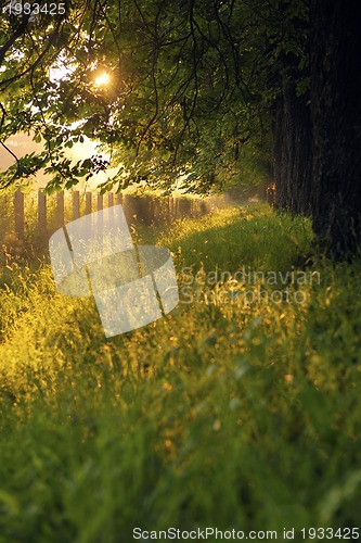 Image of sunrise in beautiful alley