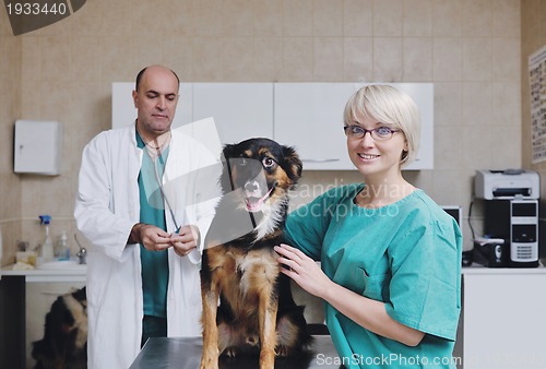 Image of veterinarian and assistant in a small animal clinic