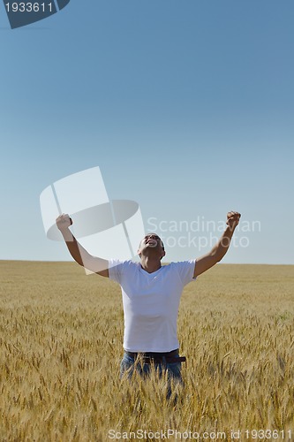 Image of man in wheat field