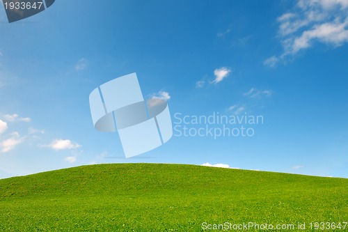 Image of field of gras and blue sky