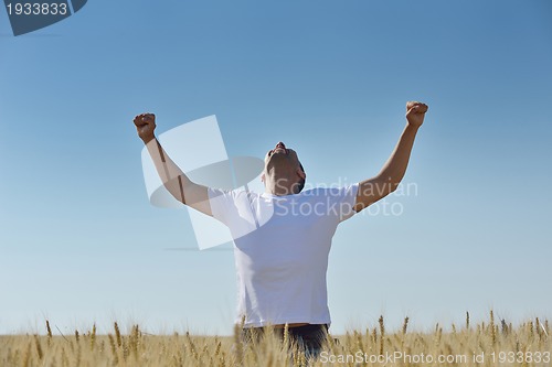 Image of man in wheat field