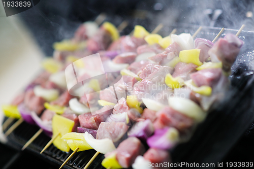 Image of tasty meat on stick