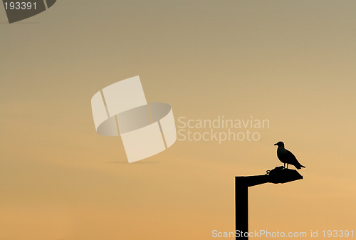 Image of Sunset