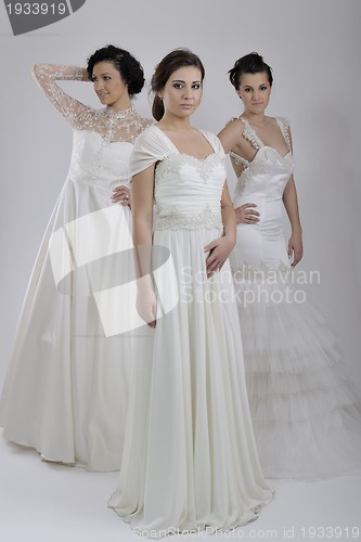 Image of portrait of a three beautiful woman in wedding dress