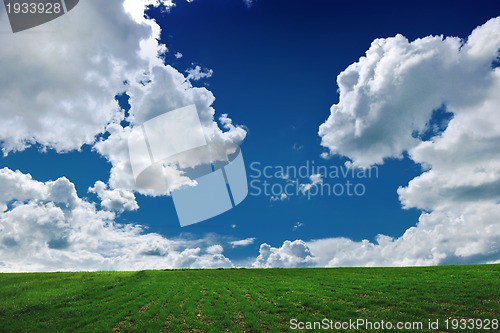 Image of grass and sky nature backgrond