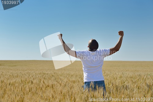 Image of man in wheat field