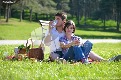 Image of happy young couple having a picnic outdoor