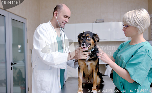 Image of veterinarian and assistant in a small animal clinic