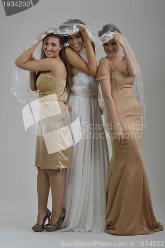 Image of portrait of a three beautiful woman in wedding dress