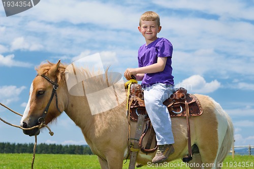 Image of child ride pony