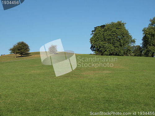 Image of Primrose Hill London