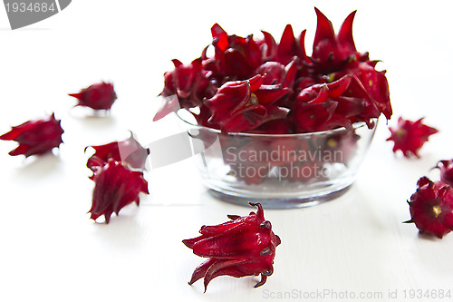 Image of Roselle [Hibiscus sabdariffa]