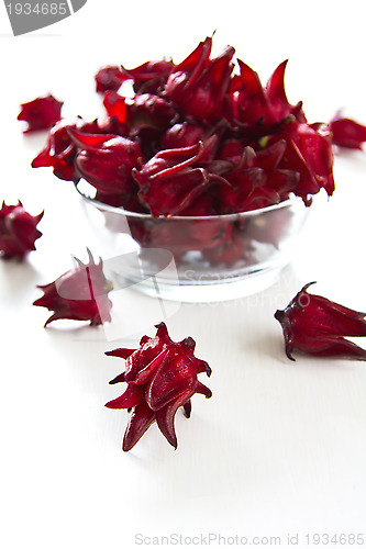 Image of Roselle [Hibiscus sabdariffa]