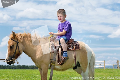 Image of child ride pony