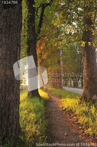 Image of sunrise in beautiful alley