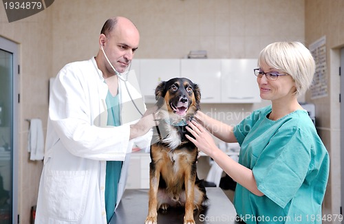 Image of veterinarian and assistant in a small animal clinic