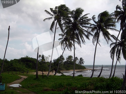 Image of deserted beach