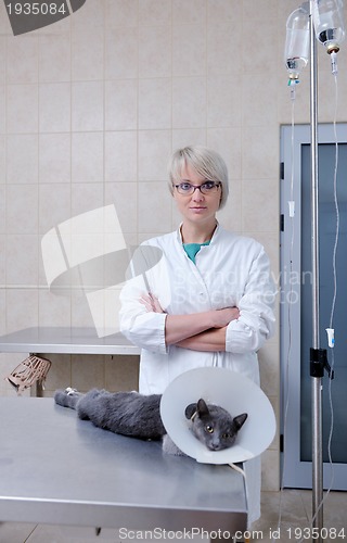 Image of Female veterinary