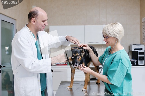 Image of veterinarian and assistant in a small animal clinic