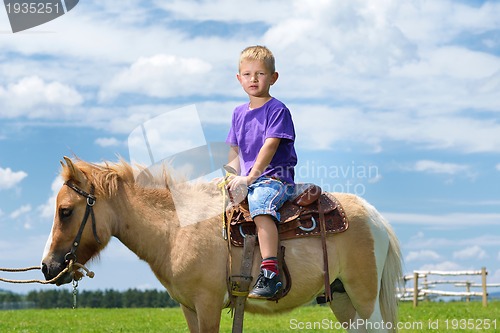 Image of child ride pony