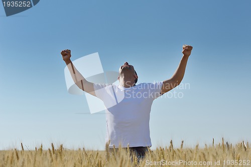 Image of man in wheat field