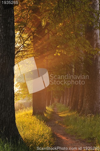 Image of sunrise in beautiful alley