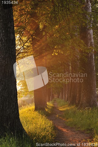 Image of sunrise in beautiful alley