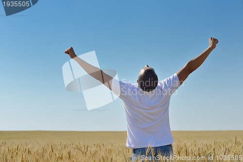 Image of man in wheat field